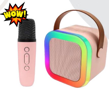 Karaoke Mic and Speaker Set for Singing, Parties and Home Entertainment, Fun Audio Gift Item for Family Use, Corporate Gifting and Celebration Moments